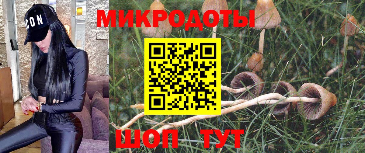 Галлюциногенные грибы Cubensis  Вход с VPN  Нижний Тагил 